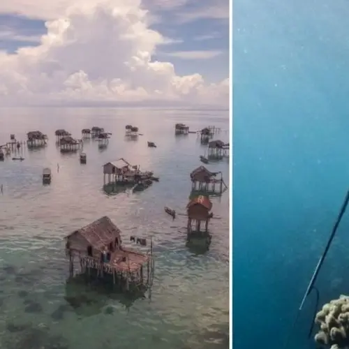 What Life Is Like For The Sea-Faring Bajau People Who Live On The Waters Of The South Pacific