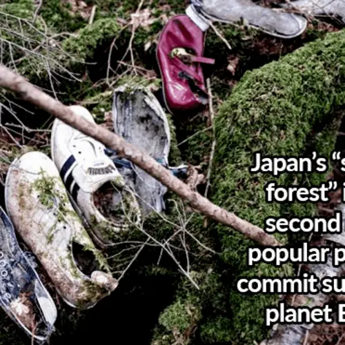 33 Japan Facts That Reveal The Truth About Samurai, Geisha, And So Much More