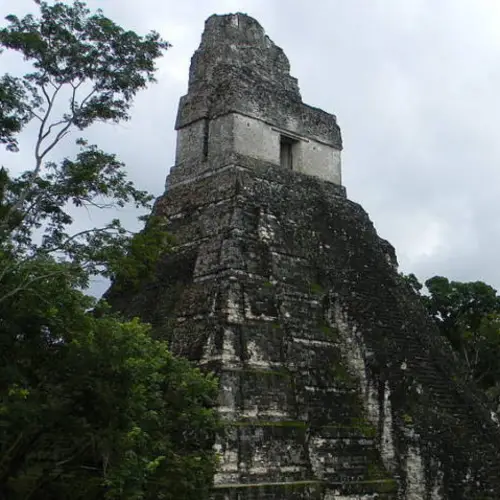 Researchers Finally Uncover What Wiped Out The Mayan Civilization