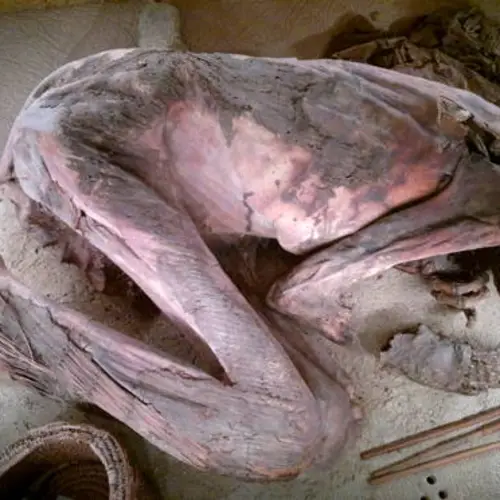 5,600-Year-Old Mummy Reveals Oldest Egyptian Embalming Recipe Ever Found
