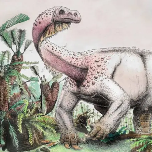 This Newly Discovered 26,000-Pound Dinosaur Was Once The Biggest Creature To Walk Planet Earth