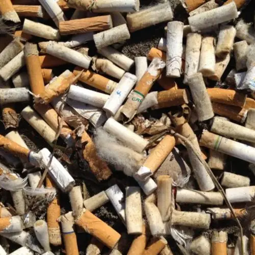 Cigarette Butts Are The Single Greatest Source Of Ocean Trash, Report Says