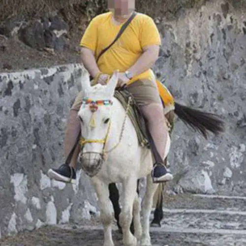Greece Officially Bans Overweight Tourists From Riding Their Donkeys