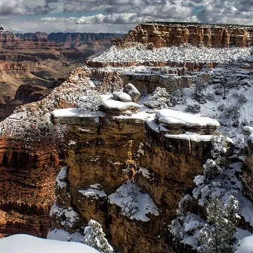 21 Pictures Of An Arizona Desert Snowstorm As A Winter Wonderland