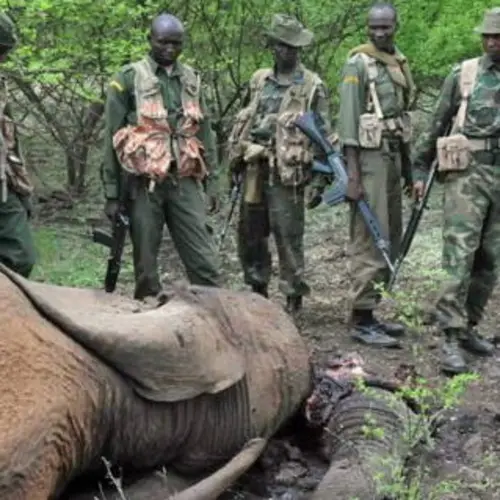 Village Leader In Tanzania Murdered And Decapitated After Reporting Poachers