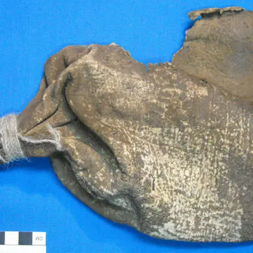 Earliest Evidence Of Ayahuasca Use Discovered In Ancient Shamanic Pouch In Bolivia