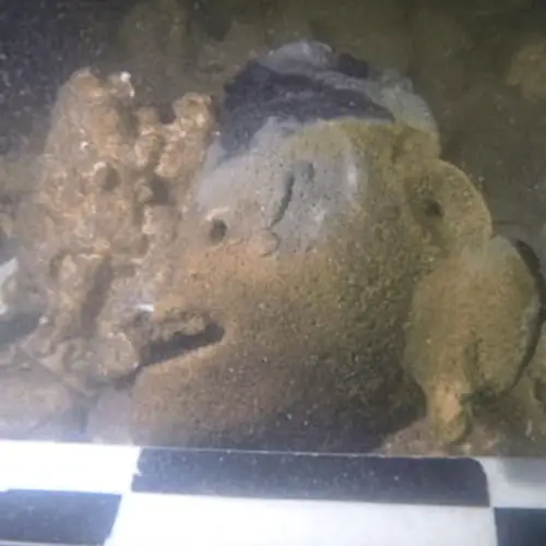 Hundreds Of Mayan Artifacts Were Just Discovered In Two Different Underwater Locations