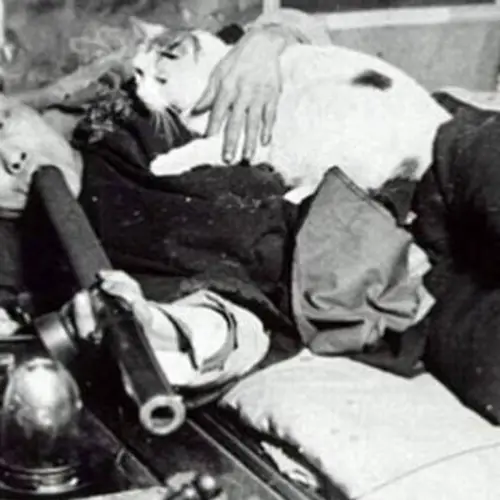A Disturbing Look Inside The Victorian Opium Dens That Launched The First Modern War On Drugs