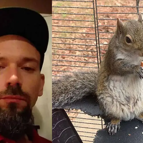 Alabama Fugitive Allegedly Gave His Pet Squirrel, 'Deeznuts,' Meth To Make Him An Attack Squirrel