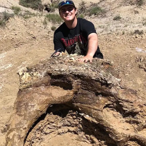 College Student Unearths 65-Million-Year-Old Triceratops Skull In North Dakota's Hell Creek Formation