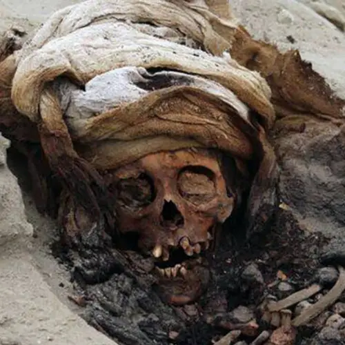 13 Archaeological Discoveries Of 2019 That Filled Us With Wonder