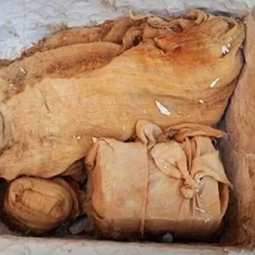 Discovery Of 3,500-Year-Old Stone Box Could Lead To The Missing Tomb Of Pharaoh Thutmose II