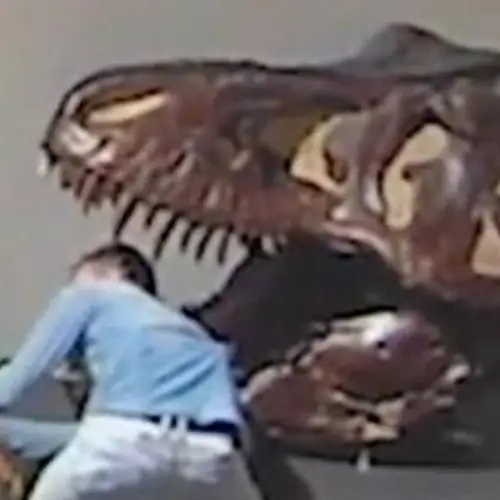 Man Caught On Camera Breaking Into Australian Museum To Take Selfies With Dinosaurs