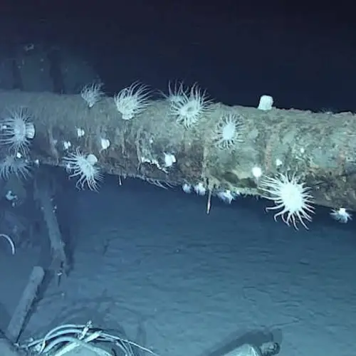 Researchers Finally Find The USS Nevada, Which Survived Pearl Harbor, D-Day, And An Atomic Bomb