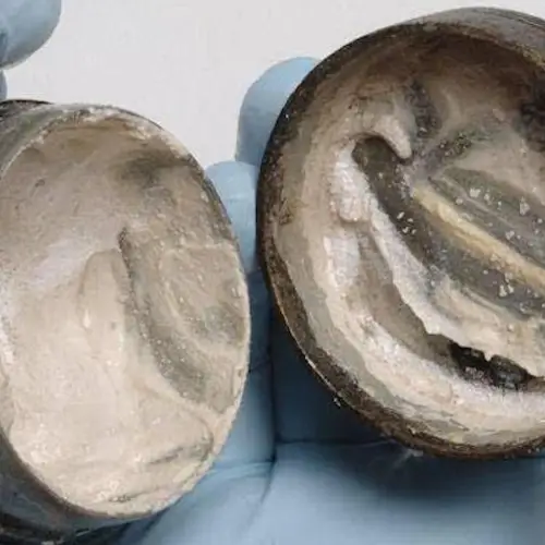 44 Ancient Artifacts That Reveal What Life Was Really Like For Our Ancestors