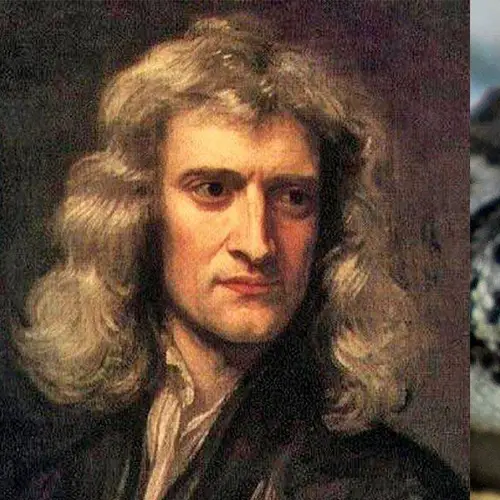 Isaac Newton Proposed Using Lozenges Made Of Toad Vomit To Cure The Bubonic Plague
