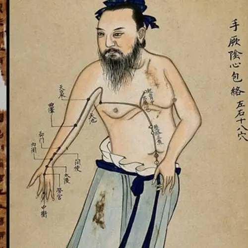 This 2,200-Year-Old Chinese Medical Text May Be The Oldest Known Chart Of Human Anatomy
