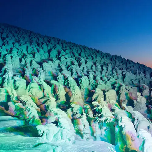 Discover The Beautiful Snow Monsters That Inhabit Japan's Mount Zaō
