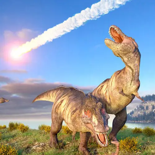 Dinosaurs Were Killed By A Comet From A Deep Space Cloud Of Icy Debris, Harvard Study Says