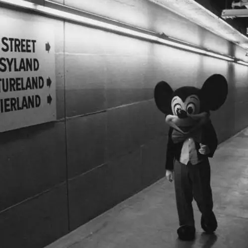 The Inside Story Of Walt Disney's Secret Tunnels Beneath The Magic Kingdom