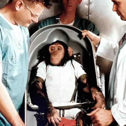 Meet Ham The Chimp, The NASA Astronaut And First Chimpanzee In Space