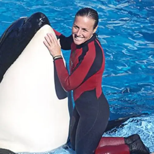 Inside SeaWorld Trainer Dawn Brancheau's Death In The Jaws Of A Killer Whale