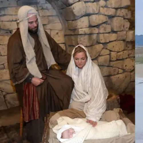 Two Calves Just Ran Away From A Live Nativity Scene In North Carolina, Leading Police On A 16-Hour Search