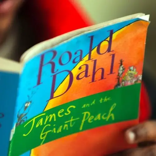 Publisher Edits Roald Dahl's Books To Remove Potentially Offensive Language