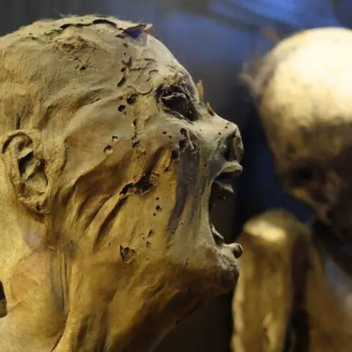 Experts Warn That Mummies On Display In Mexico May Be Able To Spread Fungal Infections To Humans