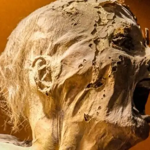 The Chilling Story Of The Guanajuato Mummies, Mexico's Eerie Screaming Corpses