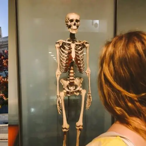 The American Museum Of Natural History Will Remove Its Human Remains From Display — All 12,000 Of Them