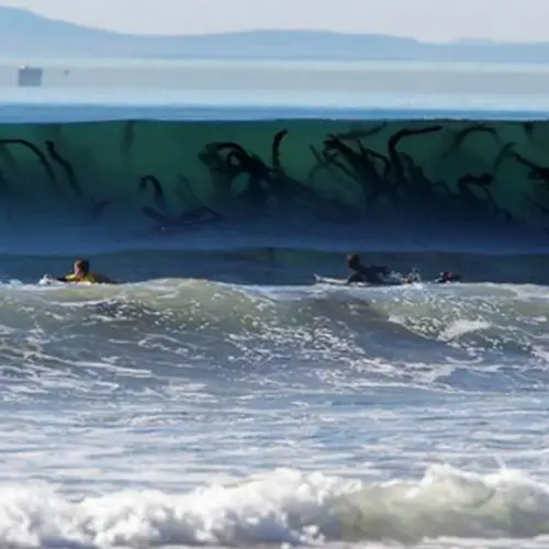 Inside The Terror Of Thalassophobia, The Crippling Fear Of Open Water