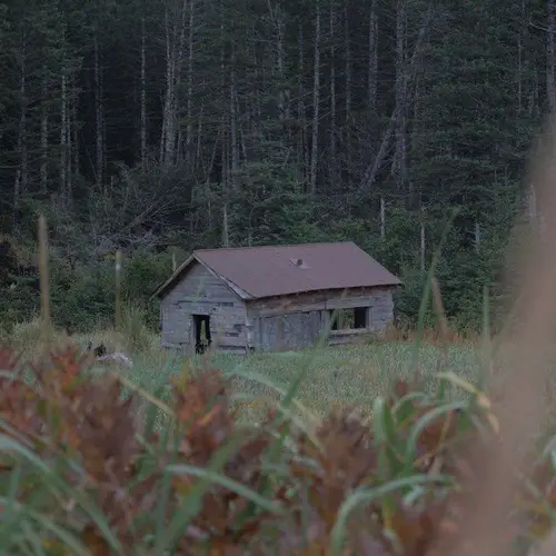 The Story Of Portlock, The Alaska Ghost Town Allegedly Abandoned Because Of A 'Killer Bigfoot'