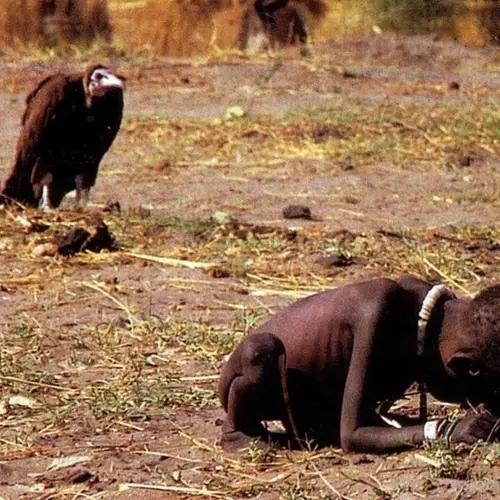 How 'The Vulture And The Little Girl' Captured The Utter Devastation Of The 1993 Sudan Famine