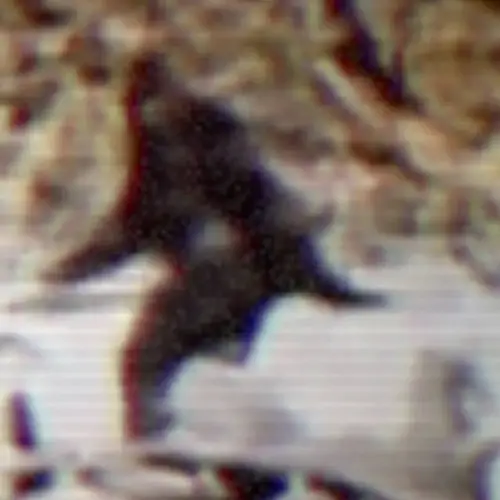 Is Bigfoot Real? What The Alleged Sightings And Evidence Say About This Legendary Cryptid's Existence