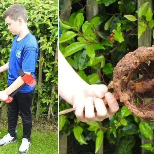 The Extraordinary Stories Behind 11 Historical Artifacts That Were Discovered By Children