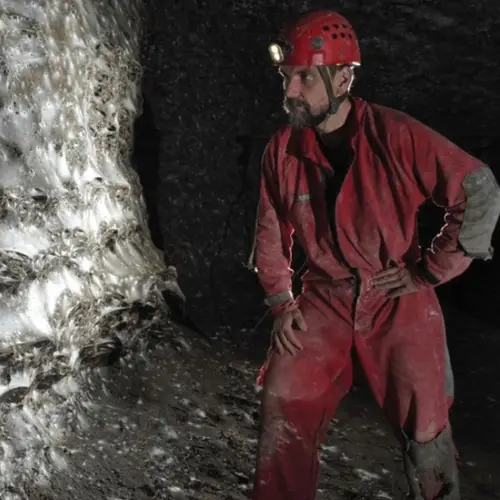 Scientists Have Discovered The World's Largest Spider Web That Covers 1,140 Square Feet
