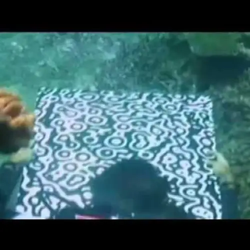The Great Barrier Reef's Underwater Art Gallery