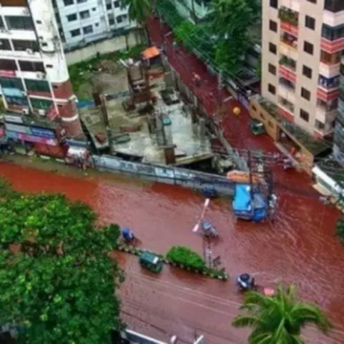 Muslim Animal Sacrifice Traditions Draw Criticism After Incident In Bangladesh