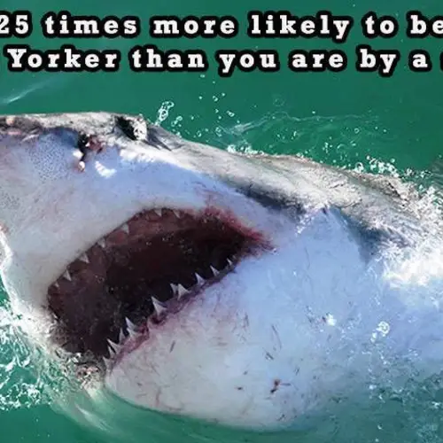 32 Weird New York Facts Even New Yorkers Probably Don't Know