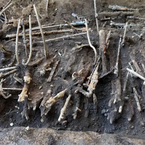 Thousands Of World War II-Era Weapons Found Buried Underneath A School In Tokyo