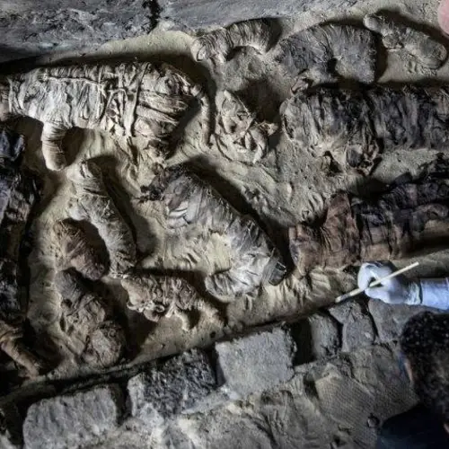 Archeologists Discover Dozens Of Cat Mummies In An Ancient Egyptian Tomb