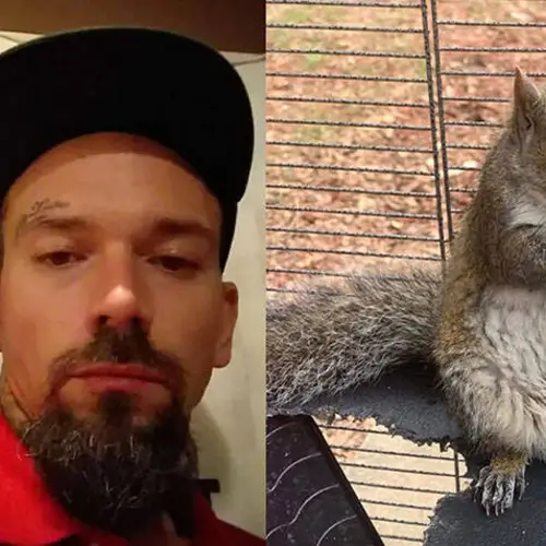 Alabama Fugitive Allegedly Gave His Pet Squirrel, 'Deeznuts,' Meth To Make Him An Attack Squirrel