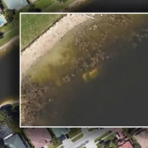 Remains And Car Of Missing Man Found After 22 Years — Thanks To Google Earth