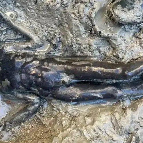 'Exceptional Discovery': 24 Perfectly-Preserved Bronze Statues Uncovered In An Ancient Etruscan Spa