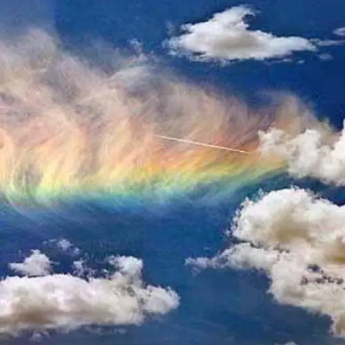 Seven Bizarre And Beautiful Natural Phenomena