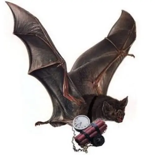 21 Of The World's Most Bizarre Weapons