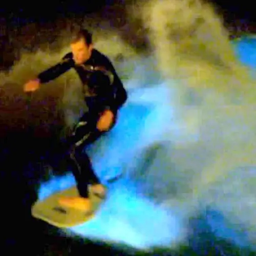 Red Tide, Blue Tide: Bioluminescence In The Ocean