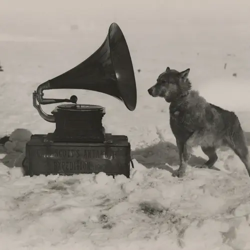 45 Cool Photos National Geographic Kept Hidden In The Archives