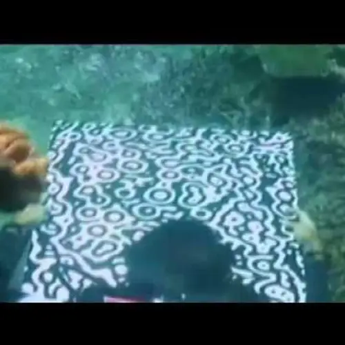 The Great Barrier Reef's Underwater Art Gallery